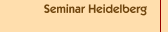 Seminar Heidelberg